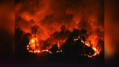 उत्तराखंडः आग से दो दिनों में 70 हेक्टेयर वन जलकर राख