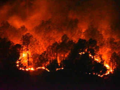 उत्तराखंडः आग से दो दिनों में 70 हेक्टेयर वन जलकर राख