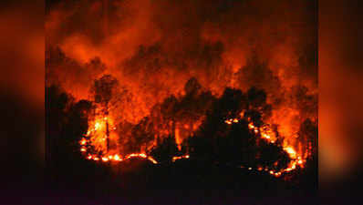 गर्मी के साथ उत्तराखंड के जंगलों में आग लगने के बढ़े मामले
