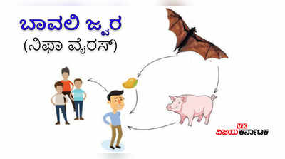 Nipah Virus: ಏನಿದು ಬಾವಲಿ ಜ್ವರ? ಇಲ್ಲಿದೆ ಕಂಪ್ಲೀಟ್‌ ಡೀಟೈಲ್ಸ್‌