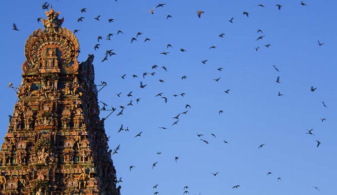 2. Kapaleeswarar Temple