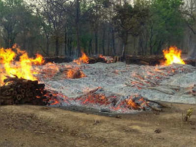 नागपुर: माओवादियों ने सरकारी जंगल किया आग के हवाले