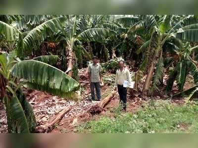 ಮಳೆ ಗಾಳಿ ಹೊಡೆತಕ್ಕೆ 3 ಟಿಸಿ ಭಸ್ಮ