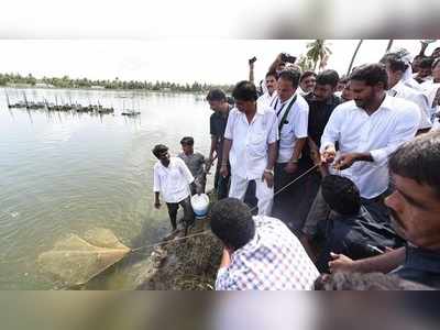 చేపల చెరువులో వల వేసిన జగన్