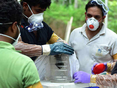 निपाह वायरस के लिए सिर्फ चमगादड़ नहीं जिम्मेदार, हो रही अन्य कारणों की जांच
