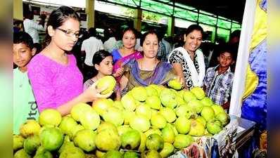 ಮಾವು ಪ್ರಿಯರಿಗೆ ನಿಫಾ ಭೀತಿ : ಮೇಳದಲ್ಲಿ ಹಣ್ಣುಗಳ ಡಬಲ್ ಚೆಕ್