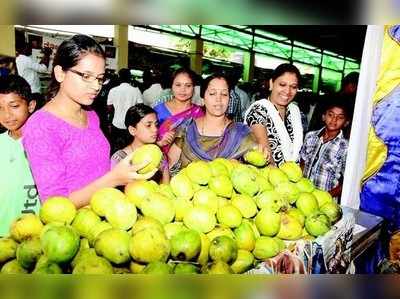 ಮಾವು ಪ್ರಿಯರಿಗೆ ನಿಫಾ ಭೀತಿ : ಮೇಳದಲ್ಲಿ ಹಣ್ಣುಗಳ ಡಬಲ್ ಚೆಕ್