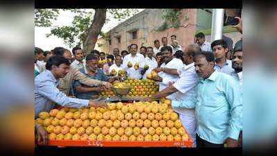 நிபா வைரஸ் எதிரொலி: மாம்பழ திருவிழாவில் பழங்களை துருவி, துருவி சோதித்த மக்கள்!