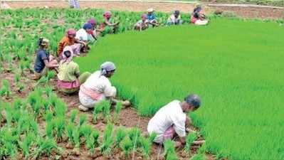 ಕೋಲಾ, ಪೆಪ್ಸಿ ತಾರೆಯರು ನಮ್ಮ ಸಾಂಸ್ಕೃತಿಕ ರಾಯಭಾರಿಗಳು