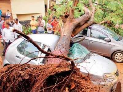 ರೋಹಿಣಿ ಆರ್ಭಟಕ್ಕೆ ವಿಜಯಪುರ ತತ್ತರ