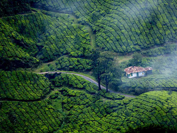 கோடைக்காலத்தில் மிஸ் பண்ணக்கூடாத டாப் 8 சுற்றுலாதலங்கள்!