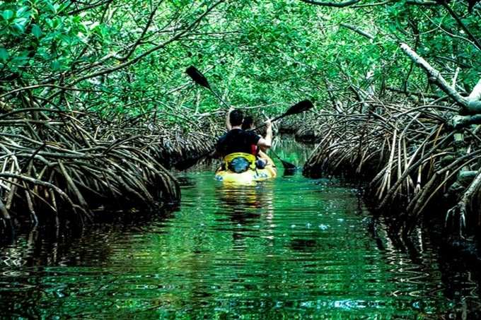 மாங்குரோவ் கிரீக், பாராடாங் தீவு