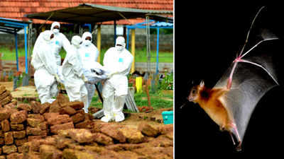 Nipah Virus Diseases: నిపా వైరస్: 1407 మంది గృహ నిర్భందం! 