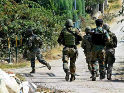 काश्मीर: पाकच्या गोळीबारात २ जवान शहीद