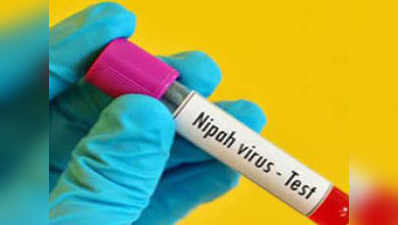 केरल: सरकार का दावा, निपाह वायरस नियंत्रण में, 30 जून तक चलेगी स्क्रीनिंग