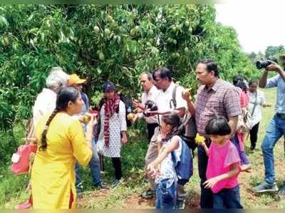 ಮ್ಯಾಂಗೋ ಪಿಕ್ಕಿಂಗ್‌ ಟೂರ್‌ನಲ್ಲಿ ಸಂಭ್ರಮಿಸಿದ ಬೆಂಗಳೂರಿಗರು