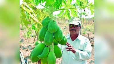 ಗುಡ್ಡ ಅಗೆದು ಸಮೃದ್ಧ ಬೆಳೆ ತೆಗೆದ ಶಿವಯೋಗಿ