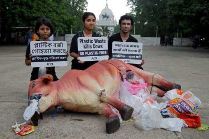 कोलकाता में PETA ने गाय के मॉडल से फैलाई जागरूकता