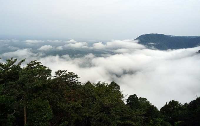 പശ്ചിമഘട്ടം