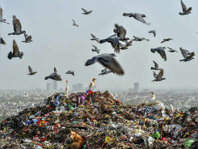 तमिलनाडु, नगालैंड, झारखंड, महाराष्ट्र होंगे प्लास्टिक मुक्त, उत्तराखंड नंबर 1