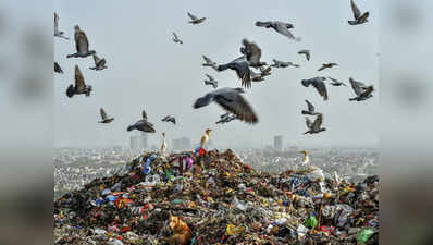 तमिलनाडु, नगालैंड, झारखंड, महाराष्ट्र होंगे प्लास्टिक मुक्त, उत्तराखंड नंबर 1