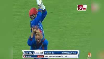 बांग्लादेश के खिलाफ T20 सीरीज जीतकर, अफगानी खिलाड़ियों ने नागिन डांस कर मनाया जश्न