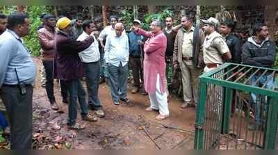 ದಕ್ಷಿಣ ಕೊಡಗಿನಲ್ಲಿ ಮತ್ತೆ ಹುಲಿ ದಾಳಿ: ಹಸು ಬಲಿ