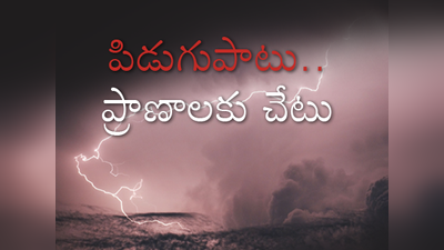 వామ్మో పిడుగు.. అంతమందిని చంపేసిందా?