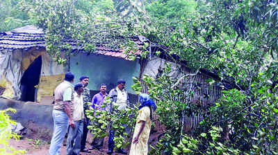 ಮಳೆಯ ಆರ್ಭಟ: ಕೊಂಬೆ ಬಿದ್ದು ಇಬ್ಬರ ಸಾವು