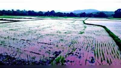 ಮುಸಲಧಾರೆಗೆ ತತ್ತರಿಸಿದ ಬೆಳಗಾವಿ