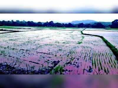 ಮುಸಲಧಾರೆಗೆ ತತ್ತರಿಸಿದ ಬೆಳಗಾವಿ