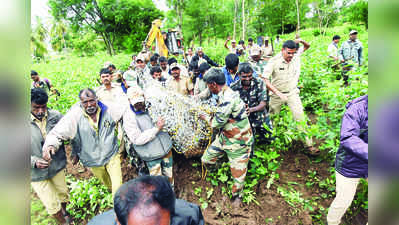 45 ನಿಮಿಷದಲ್ಲೇ ಸೆರೆಯಾದ ವ್ಯಾಘ್ರ!