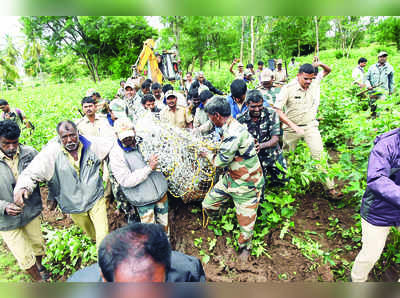 45 ನಿಮಿಷದಲ್ಲೇ ಸೆರೆಯಾದ ವ್ಯಾಘ್ರ!