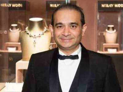 nirav modi ब्रिटमध्ये आहे की आणखी कुठे?, सरकारला माहीत नाही