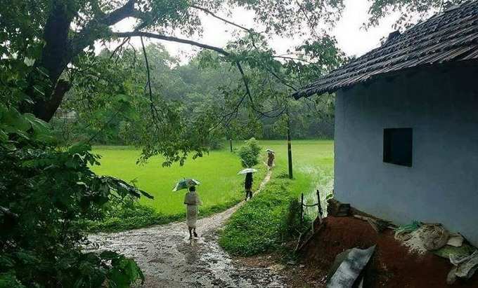 వర్షాల్లో పశ్చిమ కనుమల అందాలు!