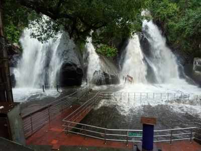 குற்றாலம் ஐந்தருவியில் வெள்ளப்பெருக்கு: சுற்றுலா பயணிகள் குளிக்க தடை!