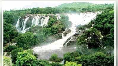 ಧುಮ್ಮಿಕ್ಕುತ್ತಿವೆ ಗಗನ ಚುಕ್ಕಿ , ಭರಚುಕ್ಕಿ ಜಲಪಾತಗಳು