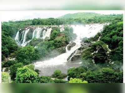 ಧುಮ್ಮಿಕ್ಕುತ್ತಿವೆ ಗಗನ ಚುಕ್ಕಿ , ಭರಚುಕ್ಕಿ ಜಲಪಾತಗಳು