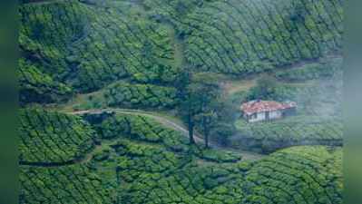 ಮಾನ್ಸೂನ್‌ನಲ್ಲಿ ಮುನ್ನಾರ್‌ಗೊಂದು ರೊಮ್ಯಾಂಟಿಕ್‌ ಟ್ರಿಪ್