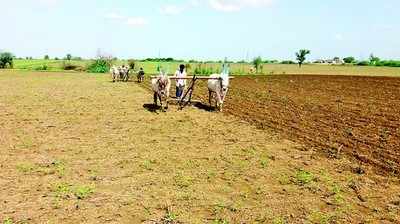 ಮುಂಗಾರು ಮಳೆ ಕೊರತೆ: ಸಂಕಷ್ಟದಲ್ಲಿ ರೈತರು