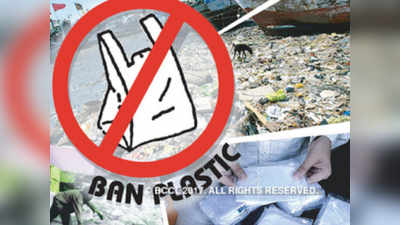 Plastic Ban: कशावर बंदी? काय वगळले?