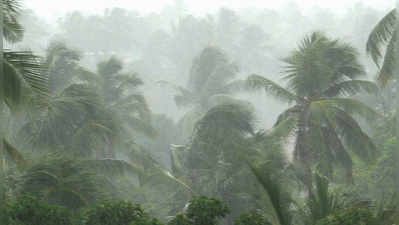 കാലവര്‍ഷം ശക്തം; ജൂൺ മുഴുവൻ മഴയുണ്ടായേക്കും