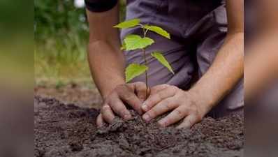 हरियाणा में पेड़ लगाने पर छात्रों को दी जाएगी पॉकेट मनी