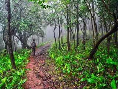 नॅशनल पार्कातील रहिवाशांचे पुनर्वसन