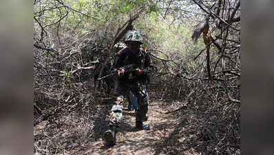 J&K: पुलवामा में सेना ने फिर शुरू किया आतंक के खिलाफ सर्च ऑपरेशन