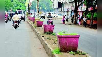 ಸಸಿಗಳ ‘ಪಾಲನೆ’ ಮಾಡುವುದೇ ಮರೆತ ‘ಪಾಲಿಕೆ’