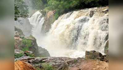 Hogenakkal Falls: மீண்டும் தொடங்கிய மழை; ஒகேனக்கல் காவிரி ஆற்றில் நீர்வரத்து அதிகரிப்பு!