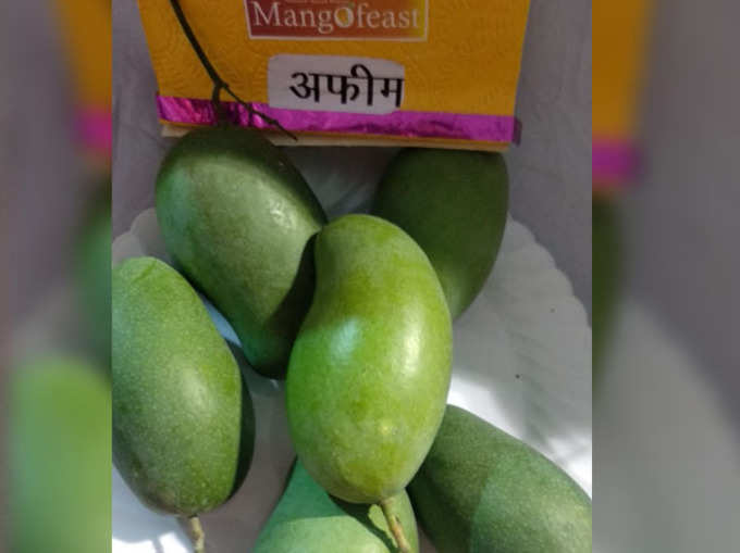 अफीम मैंगो