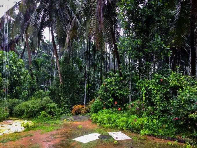 ಕೃಷಿ ಚಟುವಟಿಕೆಗೆ ಚುರುಕು ಮುಟ್ಟಿಸಿದೆ ಕರಾವಳಿ ಮಳೆ