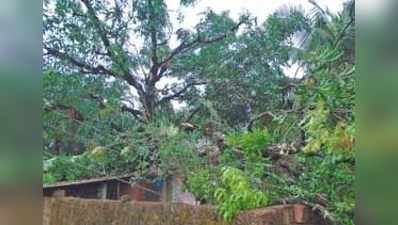 ಪರಿಹಾರಕ್ಕೆ ಪರಿತಾಪ